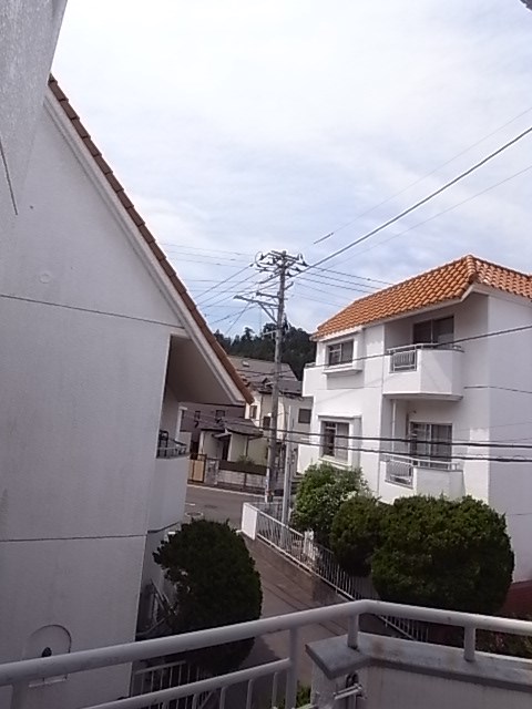 チサンマンション広瀬川壱番館 眺望