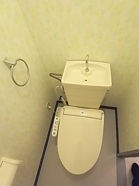 チサンマンション広瀬川壱番館 トイレ